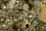 Golden Pyrite on Limonite Clay - Pakistan #337937-2